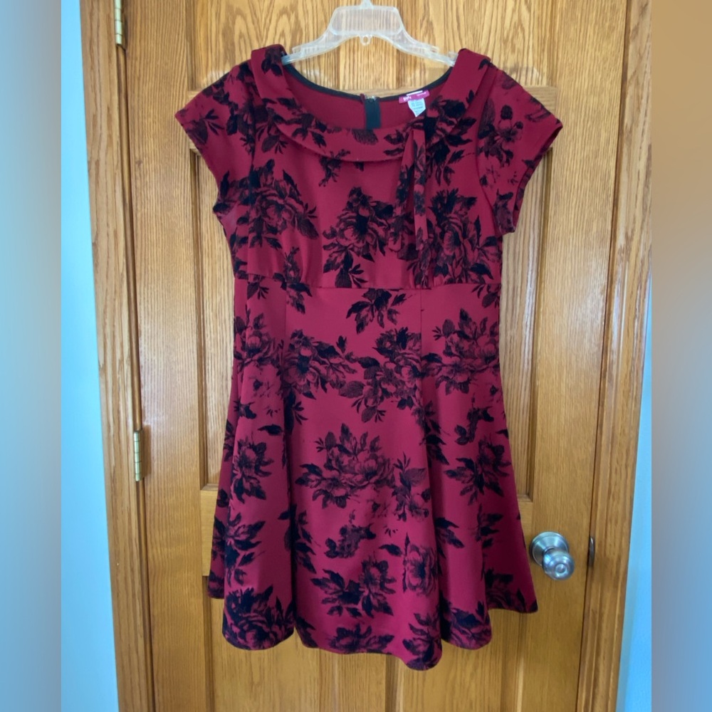 Elegant Red Cowl Neck Fit and Flare Mini Dress